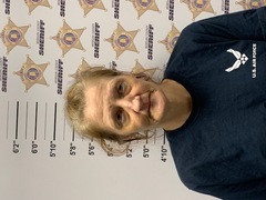 Mugshot of MINDI MICHELLE COLWELL