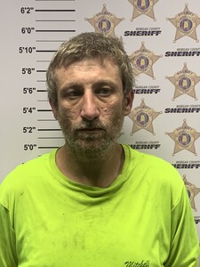 Mugshot of ALAN LOUIS MITCHELL
