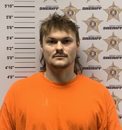 Mugshot of TYLER KAYNE BORDEN