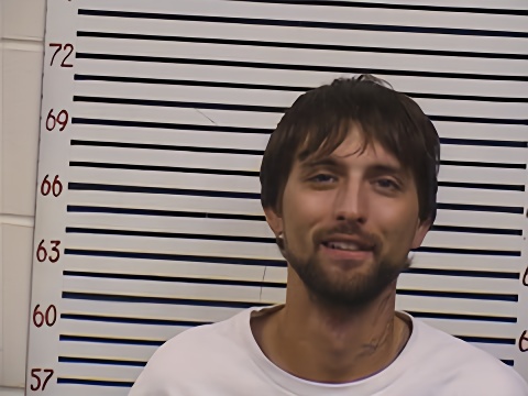 Mugshot of JOSHUA LEE