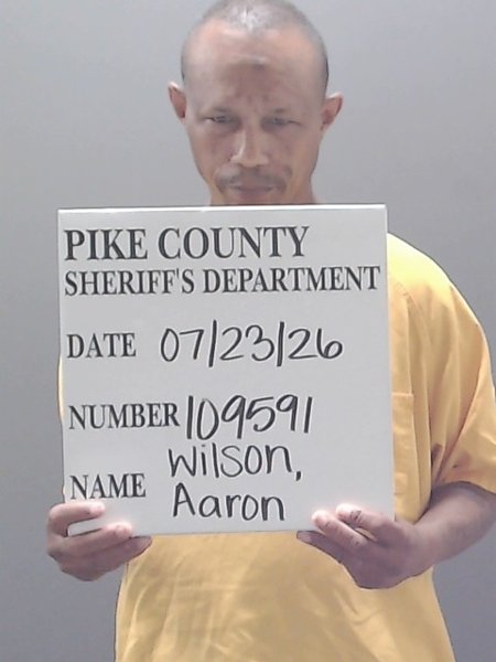 Mugshot of AARON LEE WILSON