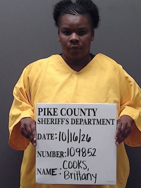 Mugshot of BRITTANY MICHELLE COOKS