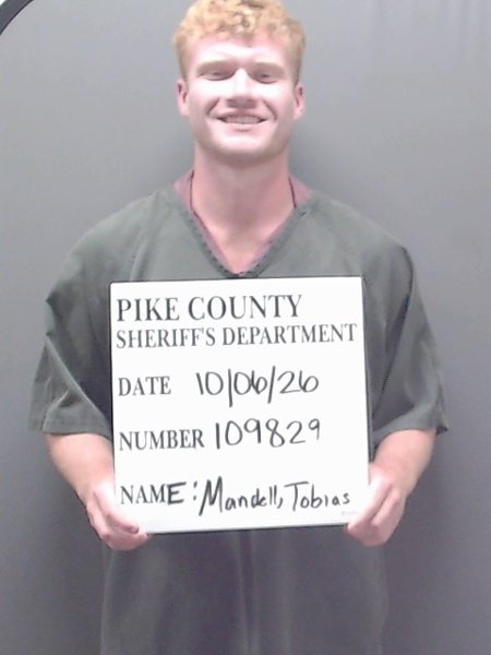 Mugshot of TOBIAS REED MANDELL