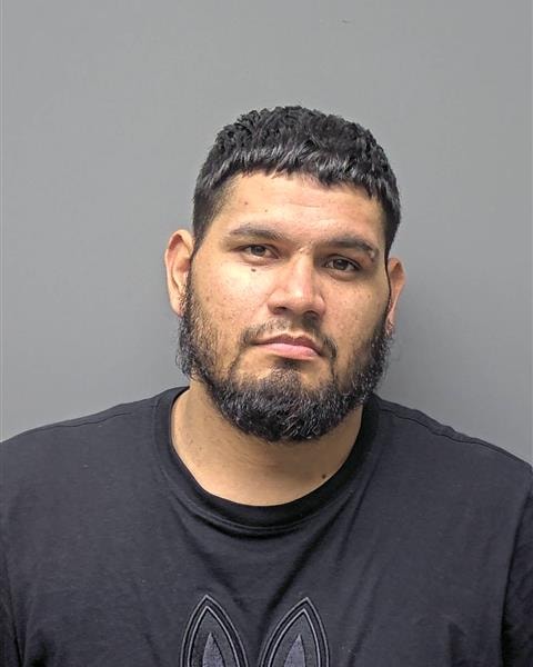 Mugshot of D ROSILES
