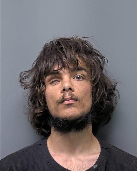 Mugshot of M SHEPHERD
