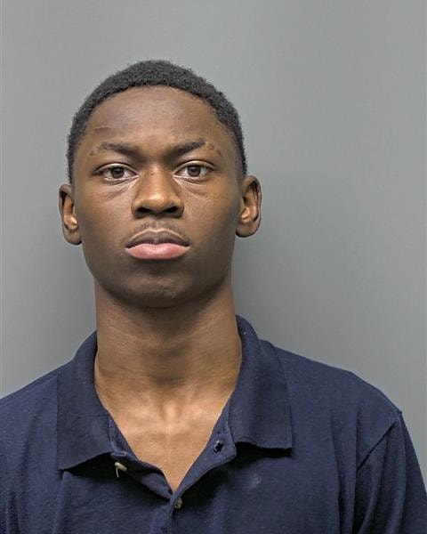 Mugshot of R BORUM