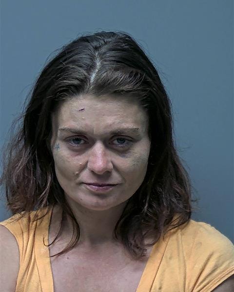 Mugshot of J BURT
