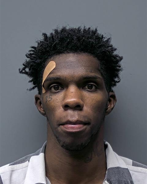 Mugshot of P WILLIAMS