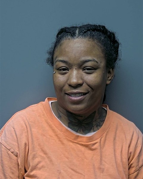 Mugshot of D GARNER