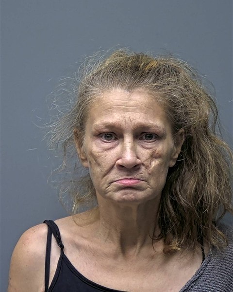 Mugshot of W ESTES