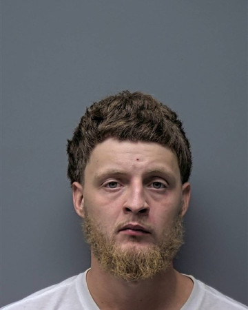 Mugshot of S ELLIOTT
