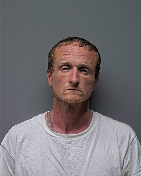 Mugshot of P FLOWERS