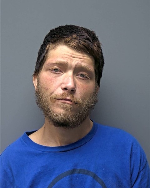 Mugshot of W FLYNN