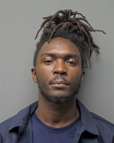 Mugshot of D MEADOWS