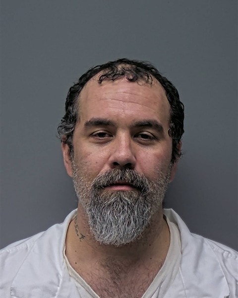 Mugshot of D GOINS