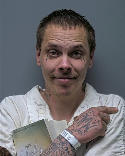 Mugshot of J OWENS