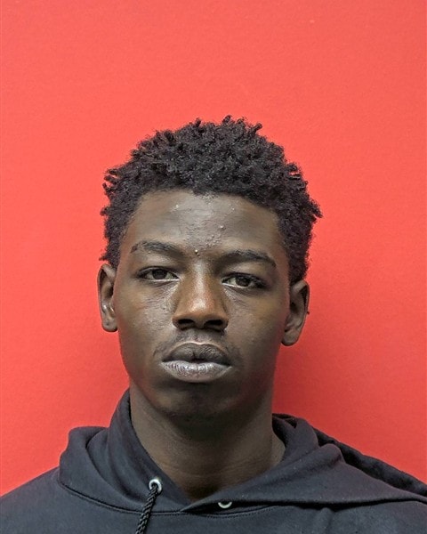 Mugshot of L RIVERS
