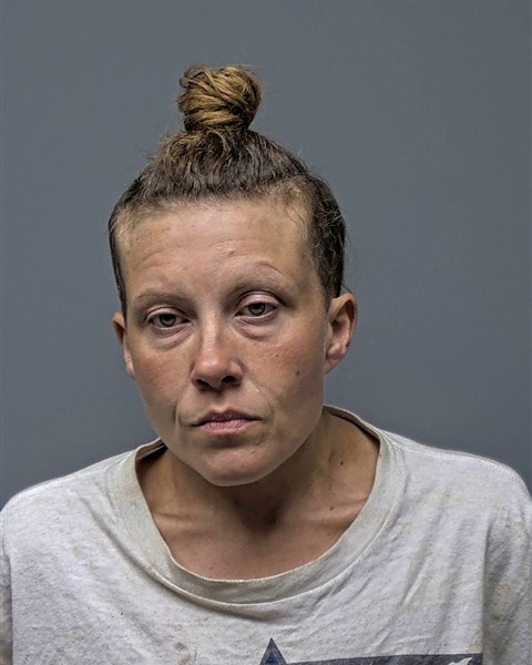 Mugshot of T PIPPINS