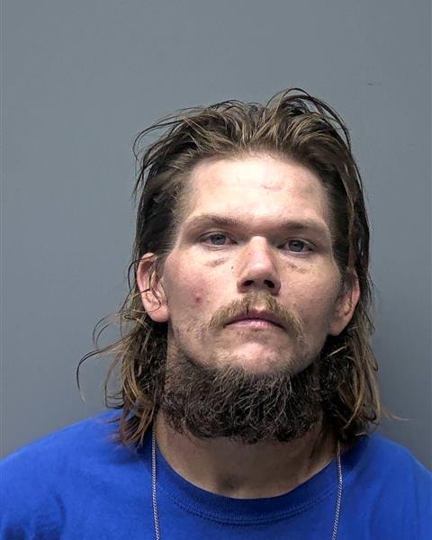 Mugshot of M GAYDOSH