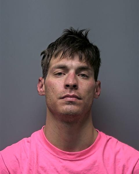 Mugshot of W INGRAM