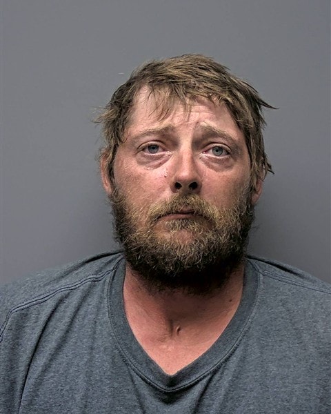 Mugshot of C TOMLINSON