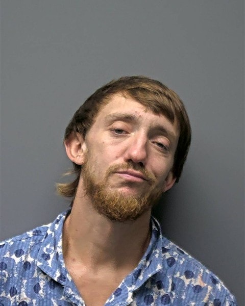Mugshot of C HENDERSON