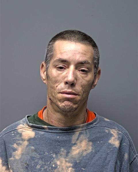 Mugshot of T KEARNEY