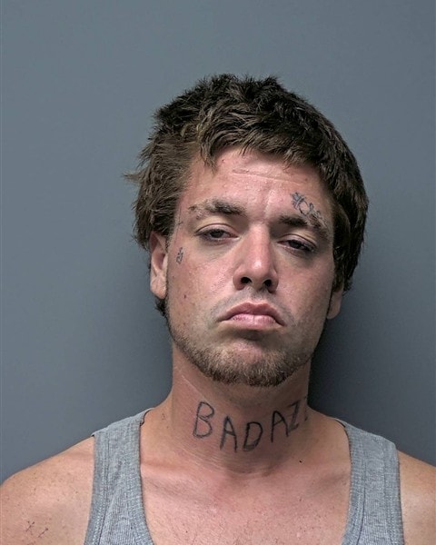 Mugshot of W TURNER