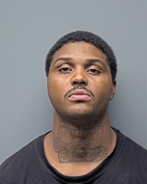 Mugshot of C HIGHSMITH