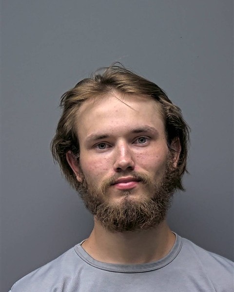 Mugshot of D HARRISON