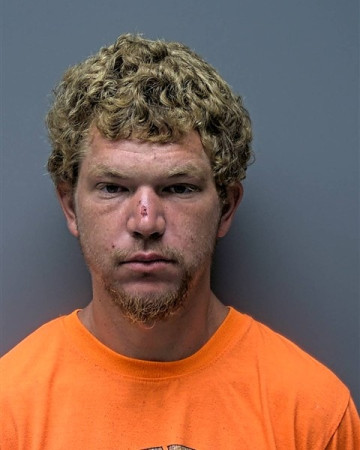 Mugshot of S MATHEWS