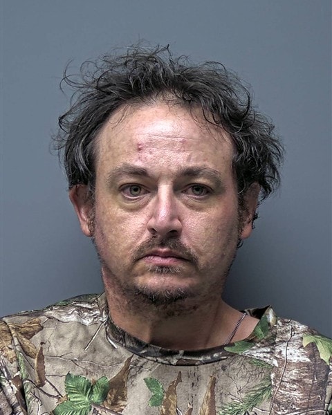 Mugshot of D RUNION