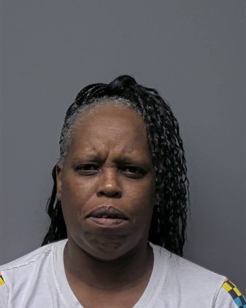 Mugshot of N KING