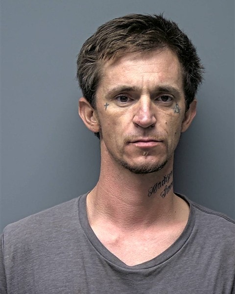 Mugshot of C FLEMING
