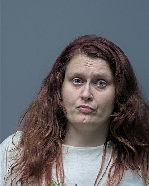 Mugshot of M FERGUSON