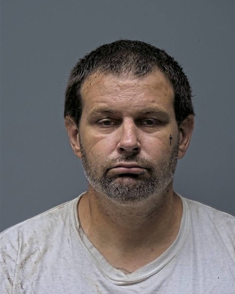 Mugshot of D GAINES