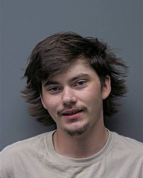 Mugshot of N WOLFE