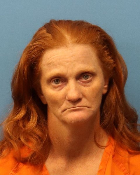 Mugshot of JULIE ANN BALDWIN