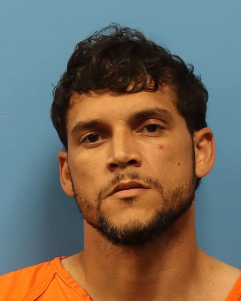 Mugshot of MICHAEL ALAN RYAN