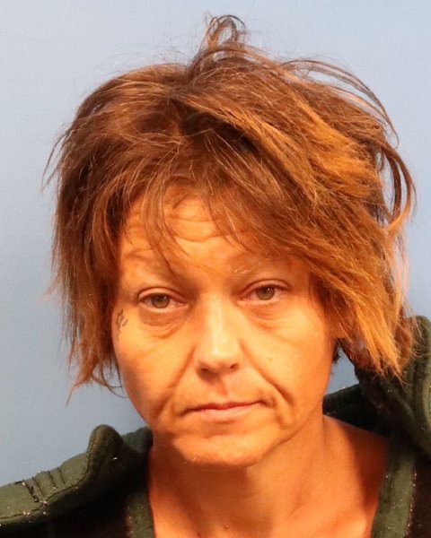 Mugshot of JAMIE ARLENE SPEARS