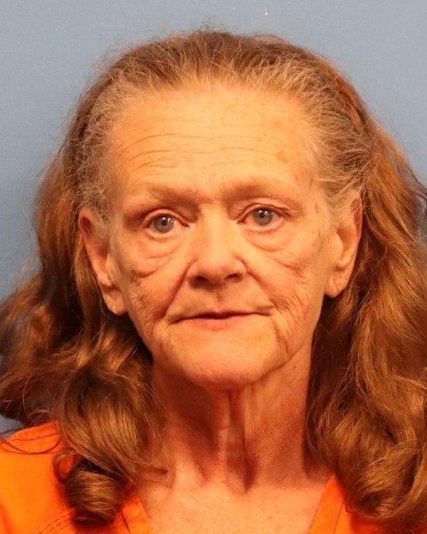 Mugshot of CHRISTINA MARIE PARTRIDGE