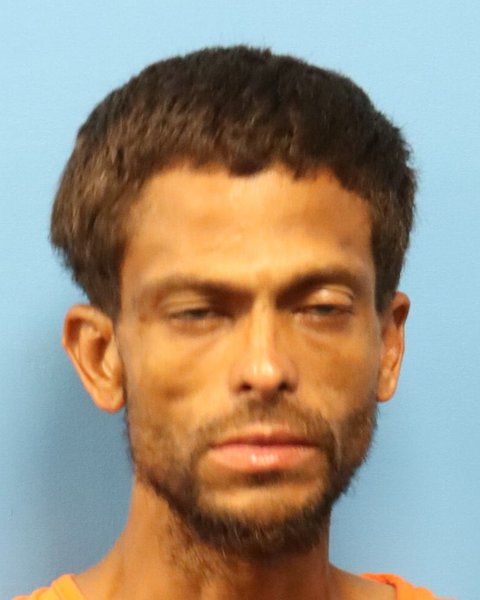 Mugshot of JOSHUA WAYNE WILKINSON