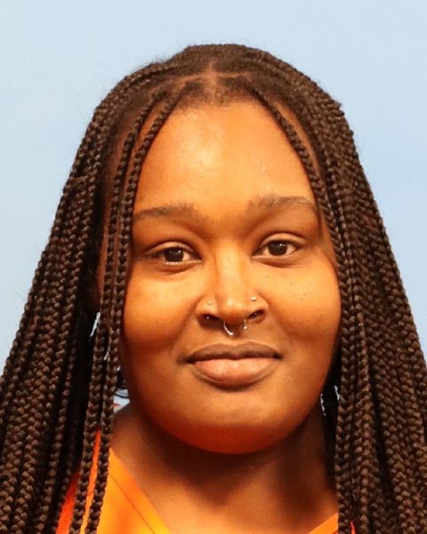 Mugshot of CAMISHA LASHAY JOHNSON