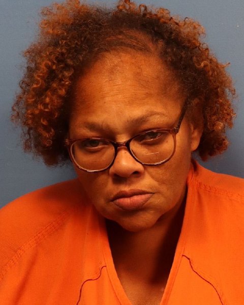 Mugshot of SHELESE NICOLE JOHNSON