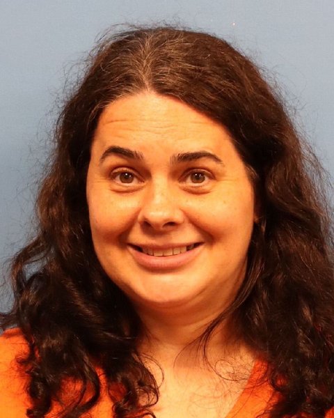 Mugshot of LINDSEY JOINER PERKINS