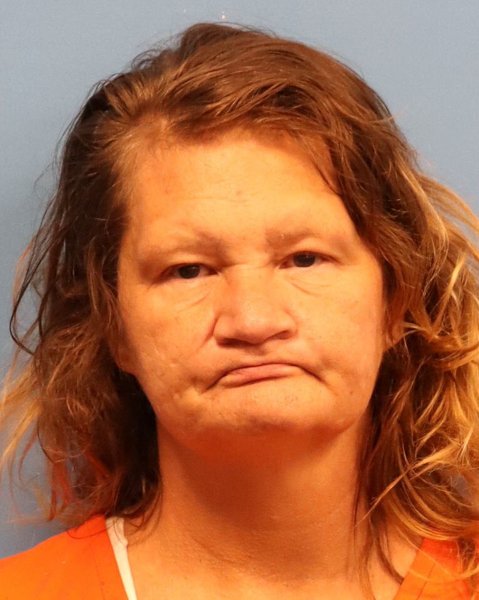 Mugshot of TERRI SELLERS