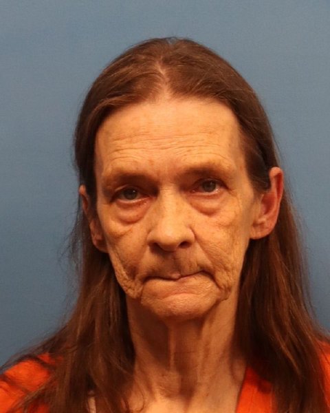 Mugshot of SHERLYN DEAN MCDONALD