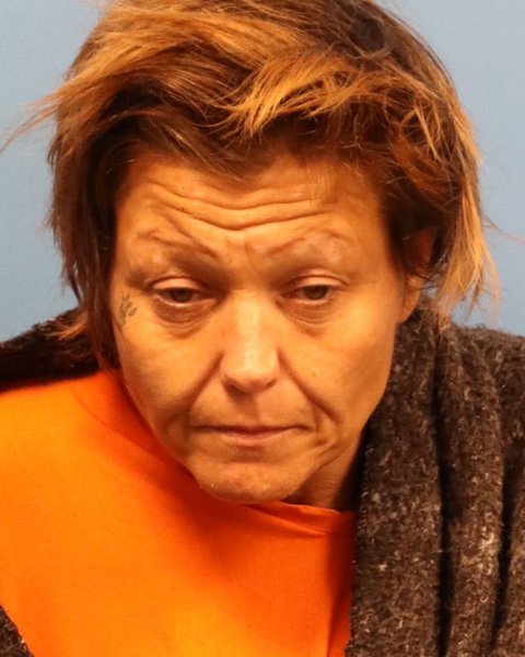 Mugshot of JAMIE ARLENE SPEARS
