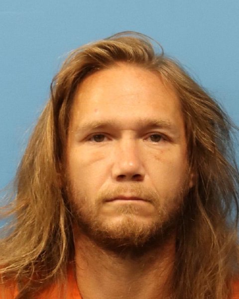 Mugshot of ROBERT ALLEN FANNING