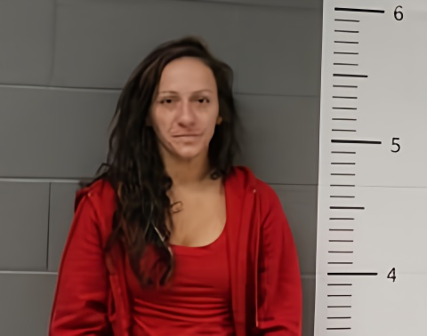 Mugshot of KELLI FISHER